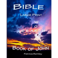 Bible Large Print Word Search: Book of John