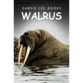 Walrus - Sandie Lee Books