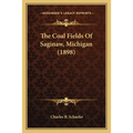 The Coal Fields Of Saginaw, Michigan (1898)