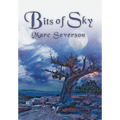 Bits of Sky