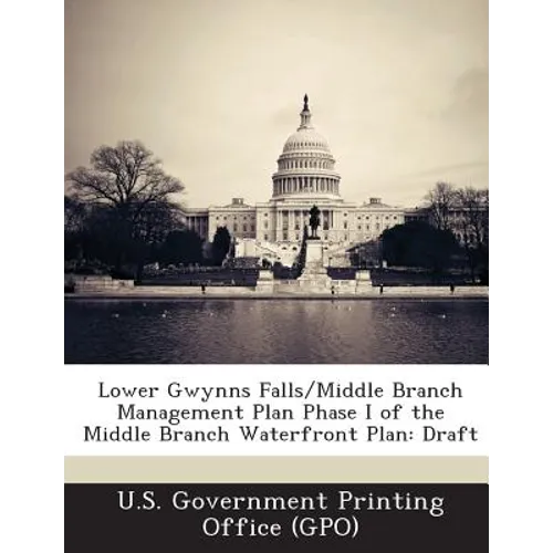 Lower Gwynns Falls/Middle Branch Management Plan Phase I of the Middle Branch Waterfront Plan: Draft