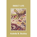 Insect Life (Yesterday's Classics)