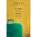 A Night with a Black Spider
