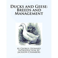 Ducks and Geese: Breeds and Management