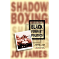 Shadowboxing: Representations of Black Feminist Politics