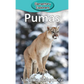 Pumas
