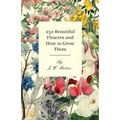 250 Beautiful Flowers and How to Grow Them