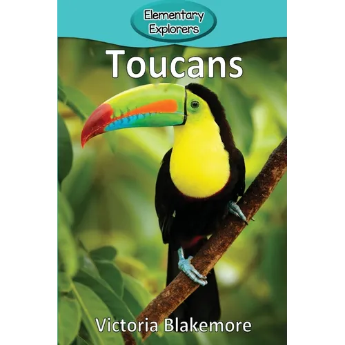 Toucans