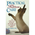 Practical Kitten Care