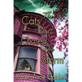 The Cats that Chased the Storm