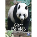 Pandas