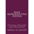 Male Reproductive System: Clinical Anatomy and Physiology