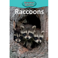 Raccoons