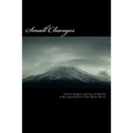 Small Changes: (key behaviour changes skills for weight management professionals)