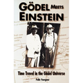Godel Meets Einstein: Time Travel in the Godel Universe