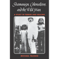 Shamanism, Colonialism, and the Wild Man: A Study in Terror and Healing