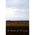 The Splendour Of The Liturgy