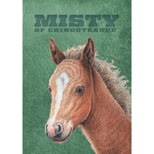 Misty of Chincoteague: Special Edition