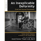 An Inexplicable Deformity: Cruel and Unusual Punishment - Paperback