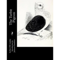 The Turbit Pigeon