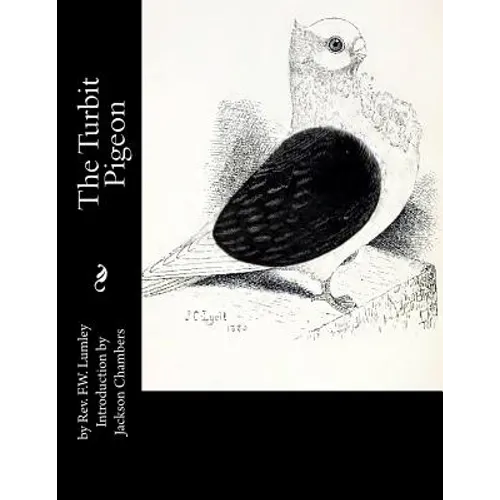 The Turbit Pigeon