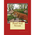 Pond And Stream