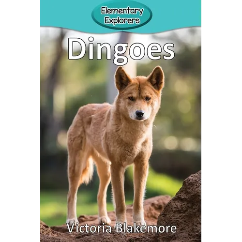 Dingoes