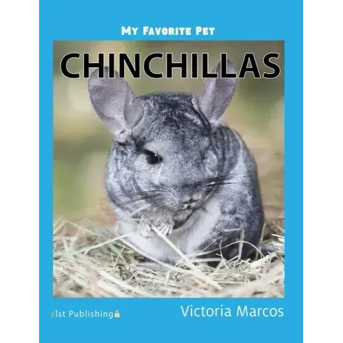 My Favorite Pet: Chinchillas