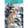 Pumas