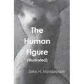 The Human Figure