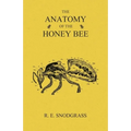 The Anatomy of the Honey Bee