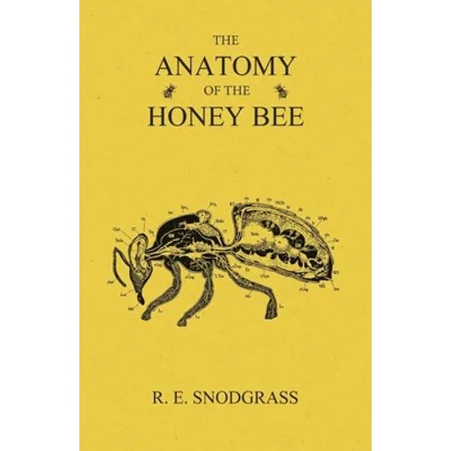 The Anatomy of the Honey Bee