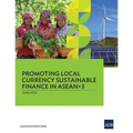 Promoting Local Currency Sustainable Finance in Asean+3