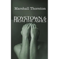 Boystown 6: From The Ashes