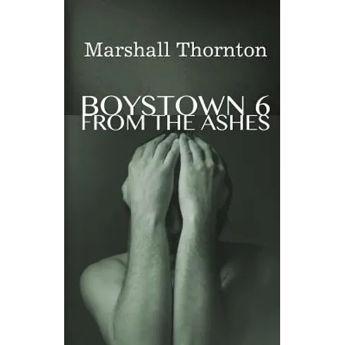Boystown 6: From The Ashes