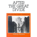 After the Great Divide: Modernism, Mass Culture, Postmodernism