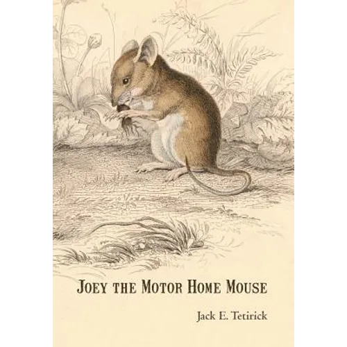 Joey the Motor Home Mouse
