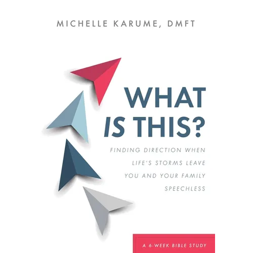 What Is This?: Finding Direction When Life's Storms Leave You and Your Family Speechless