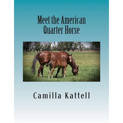 Meet the American Quarter Horse