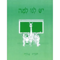 Yesh Lanu Llama: Book 1 - Workbook