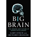 Big Brain