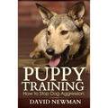 Puppy Training: How to Stop Dog Aggression