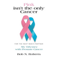 Pink Isn't the Only Cancer