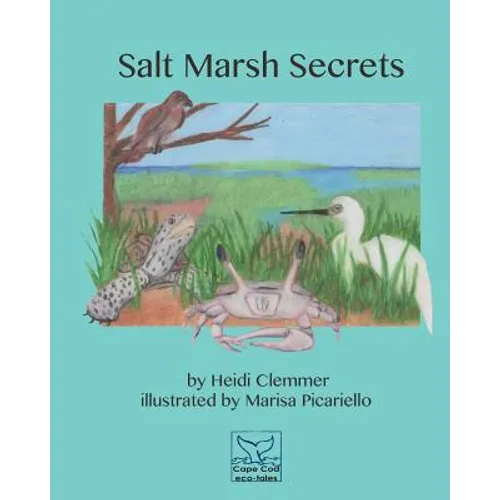 Salt Marsh Secrets