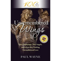 Unremembered Wings