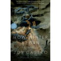 How Winter Began: Stories