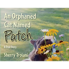 An Orphaned Cat Named Patch: A True Story - Paperback