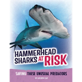 Hammerhead Sharks at Risk: Saving These Unusual Predators