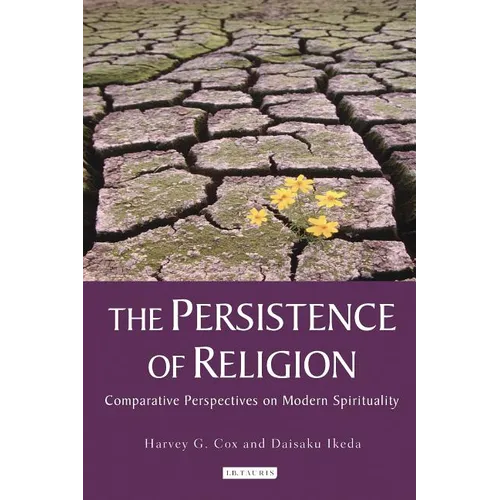 The Persistence of Religion: Comparative Perspectives on Modern Spirituality