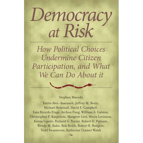Democracy at Risk: How Political Choices Undermine Citizen Participation, and What We Can Do about It